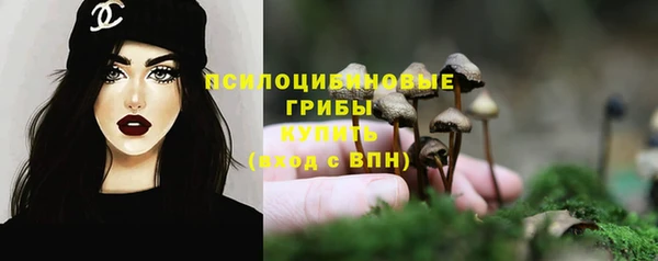 гидропоника Володарск